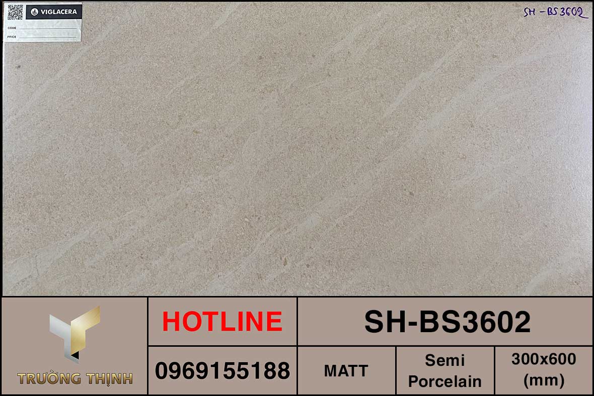 Gạch ốp lát bán sứ Viglacera Sông Hồng SH-BS3602 giá rẻ