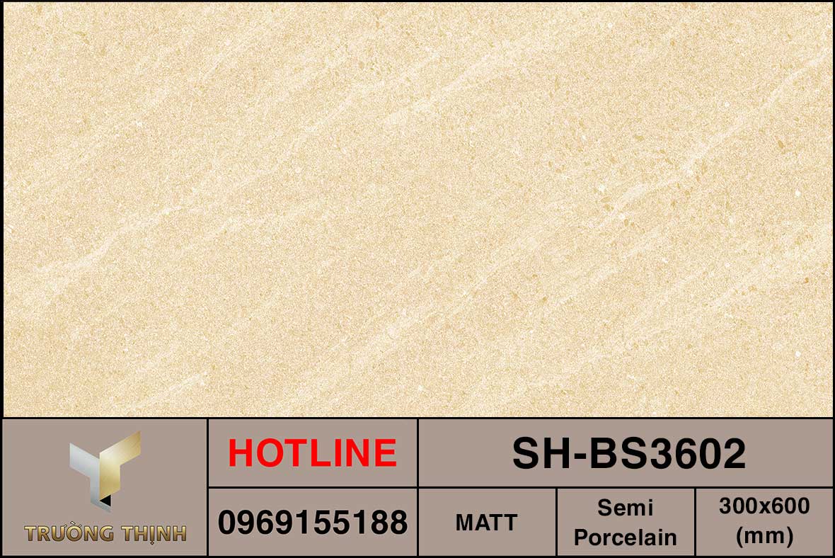 Ảnh MAP gạch lát ốp lát 300x600 Viglacera SH-BS3602