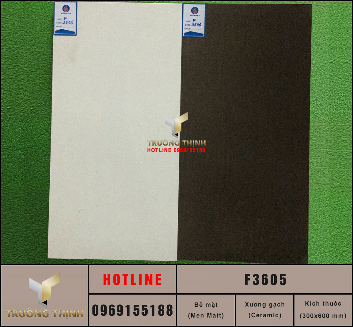 Gạch ốp tường 300x600 Viglacera F3605