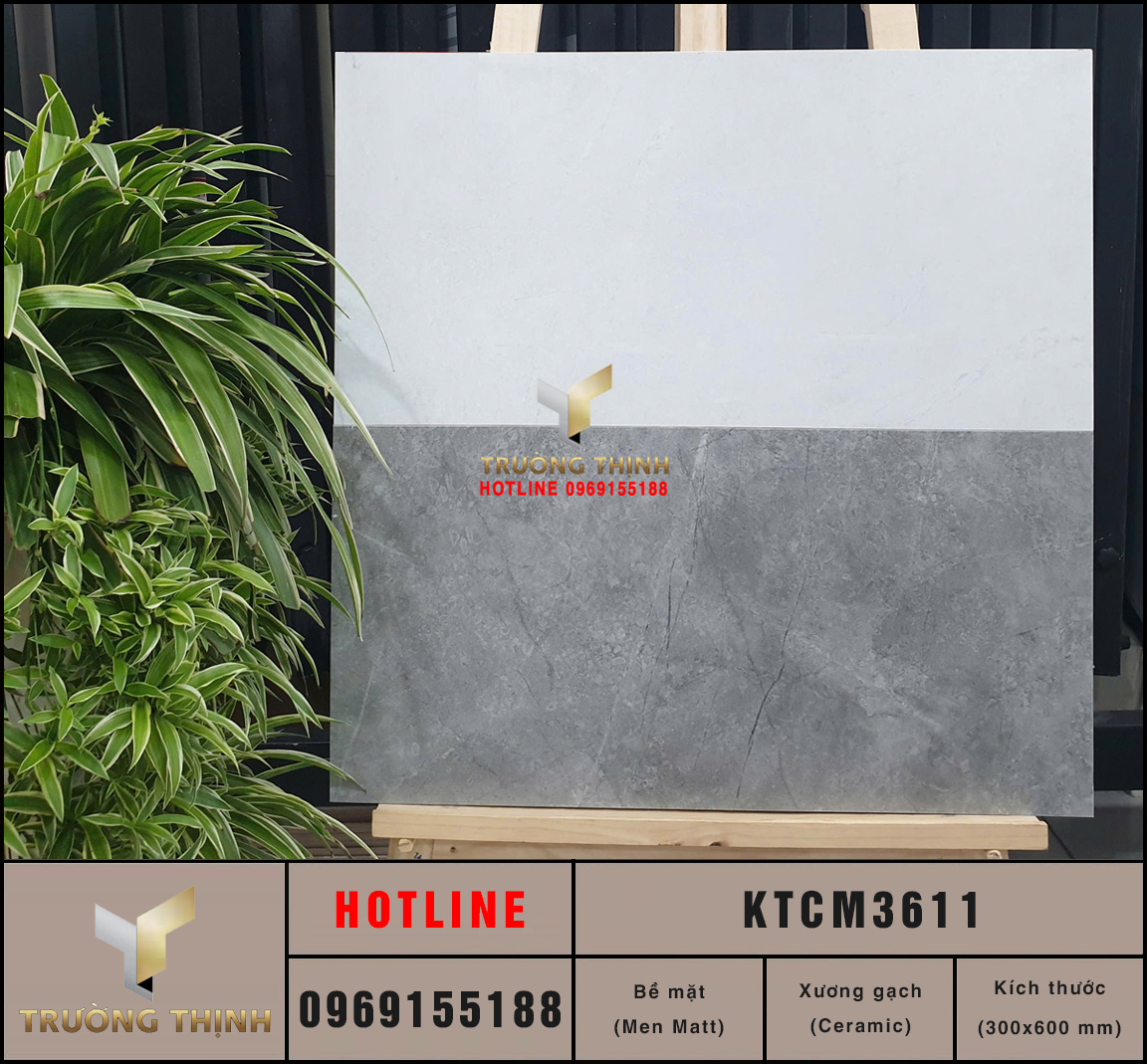 Gạch ốp lát Ceramic màu ghi 300x600 Viglacera KTCM3611 | Tổng kho Trường Thịnh