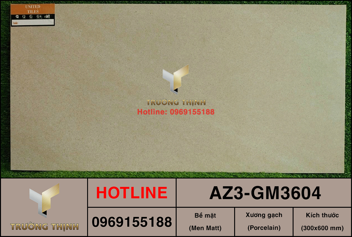 Gạch ốp lát 300x600 Viglacera United Arizona AZ3-GM3604