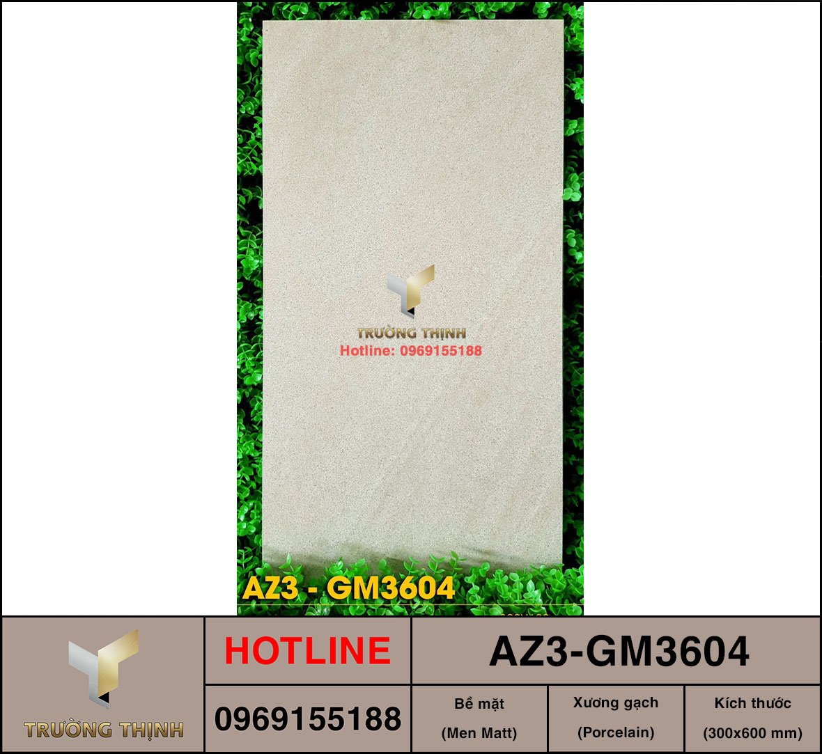 Gạch ốp lát 300x600 Viglacera United Arizona AZ3-GM3604