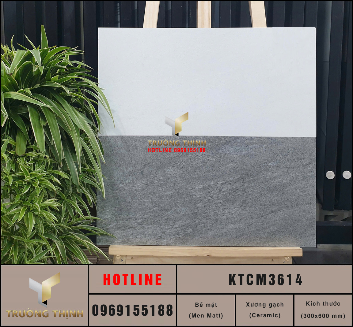 Gạch ốp lát chống trơn 300x600 Viglacera KTCM3614 vân đá