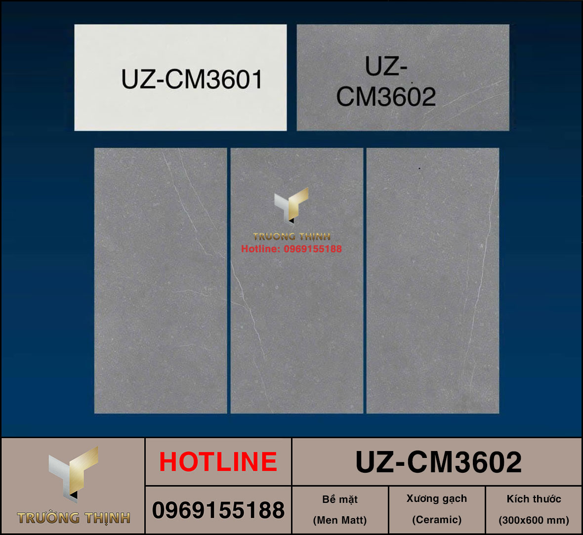 Gạch ốp lát 300x600 Viglacera UZ-CM3602