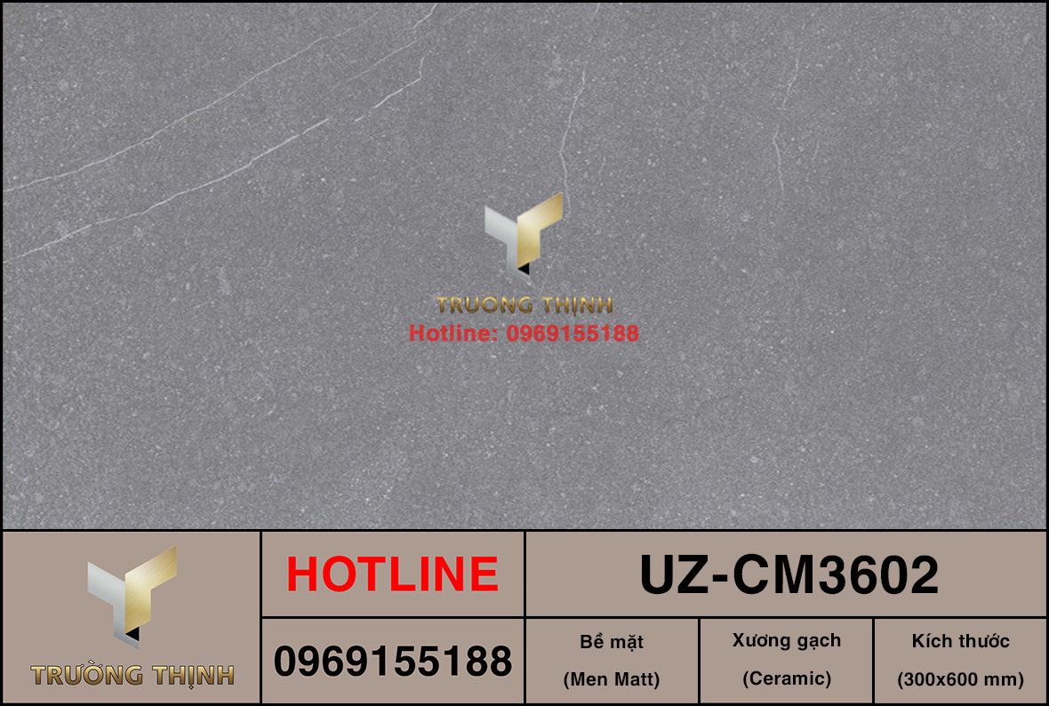 UZ-CM3602
