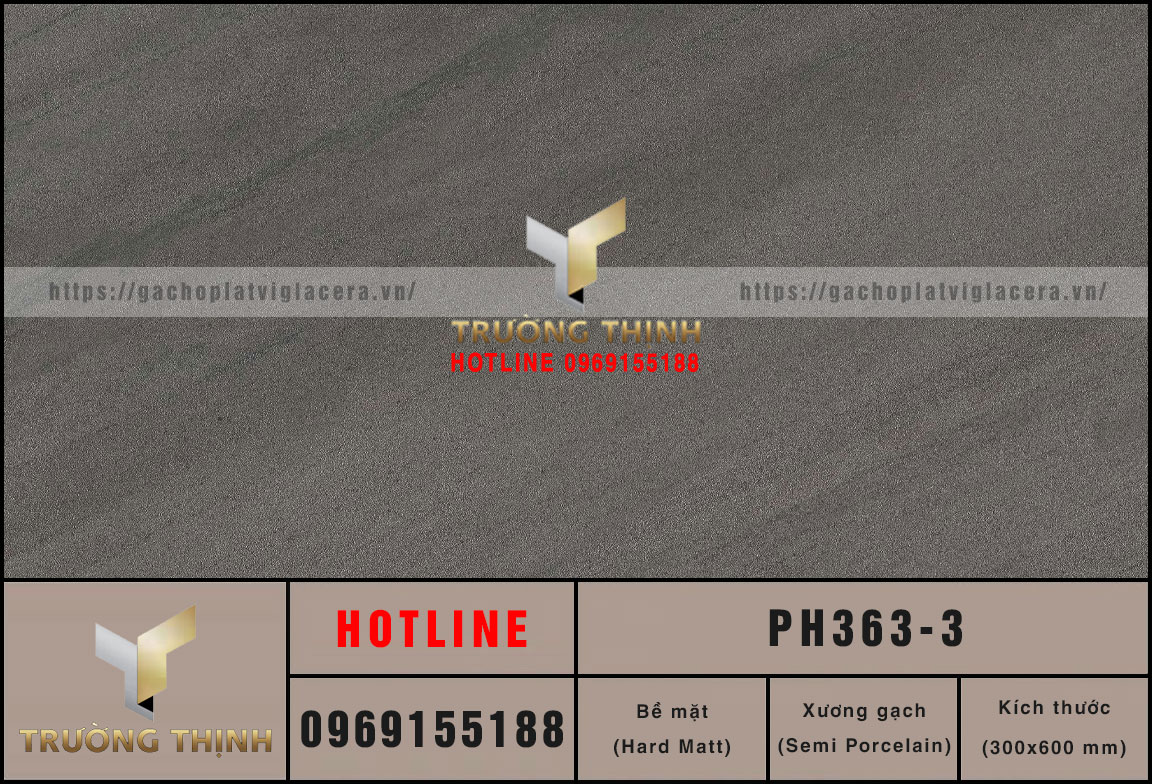 PH363-3