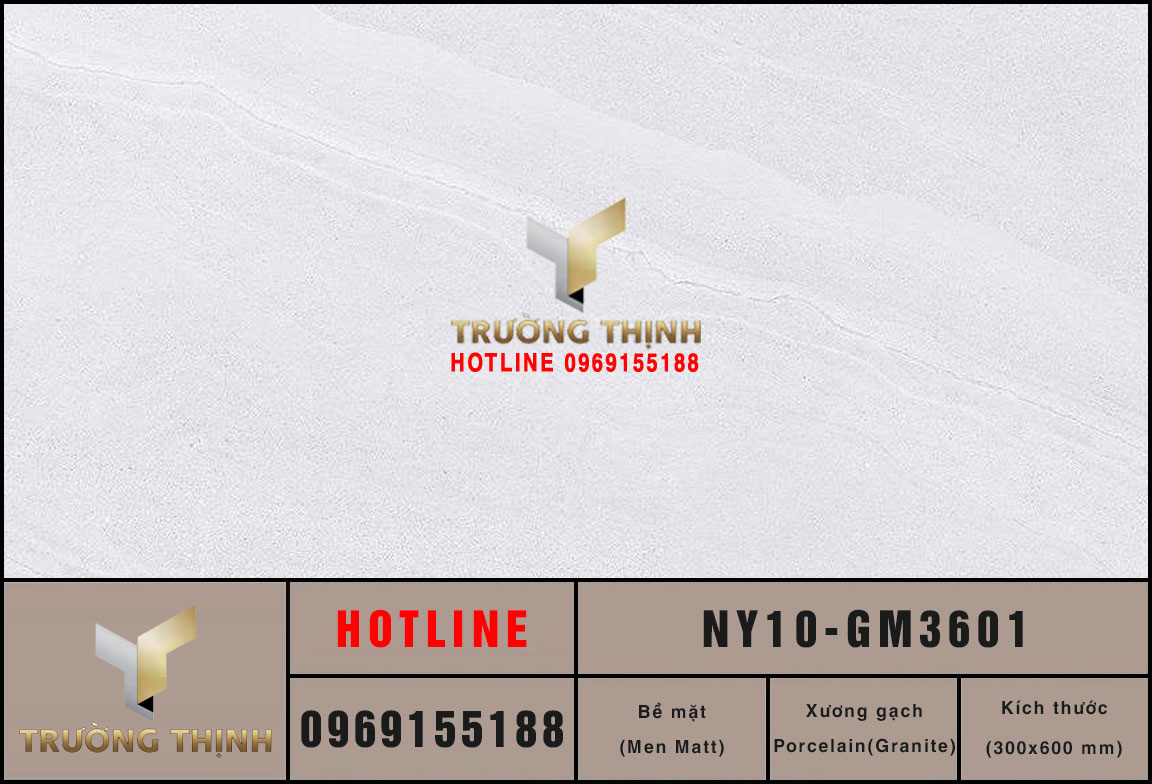 Gạch ốp lát chống trơn vân đá 300x600 Viglacera NY10-GM3601