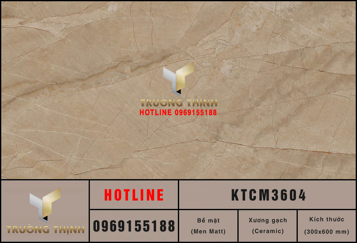 KTCM3604