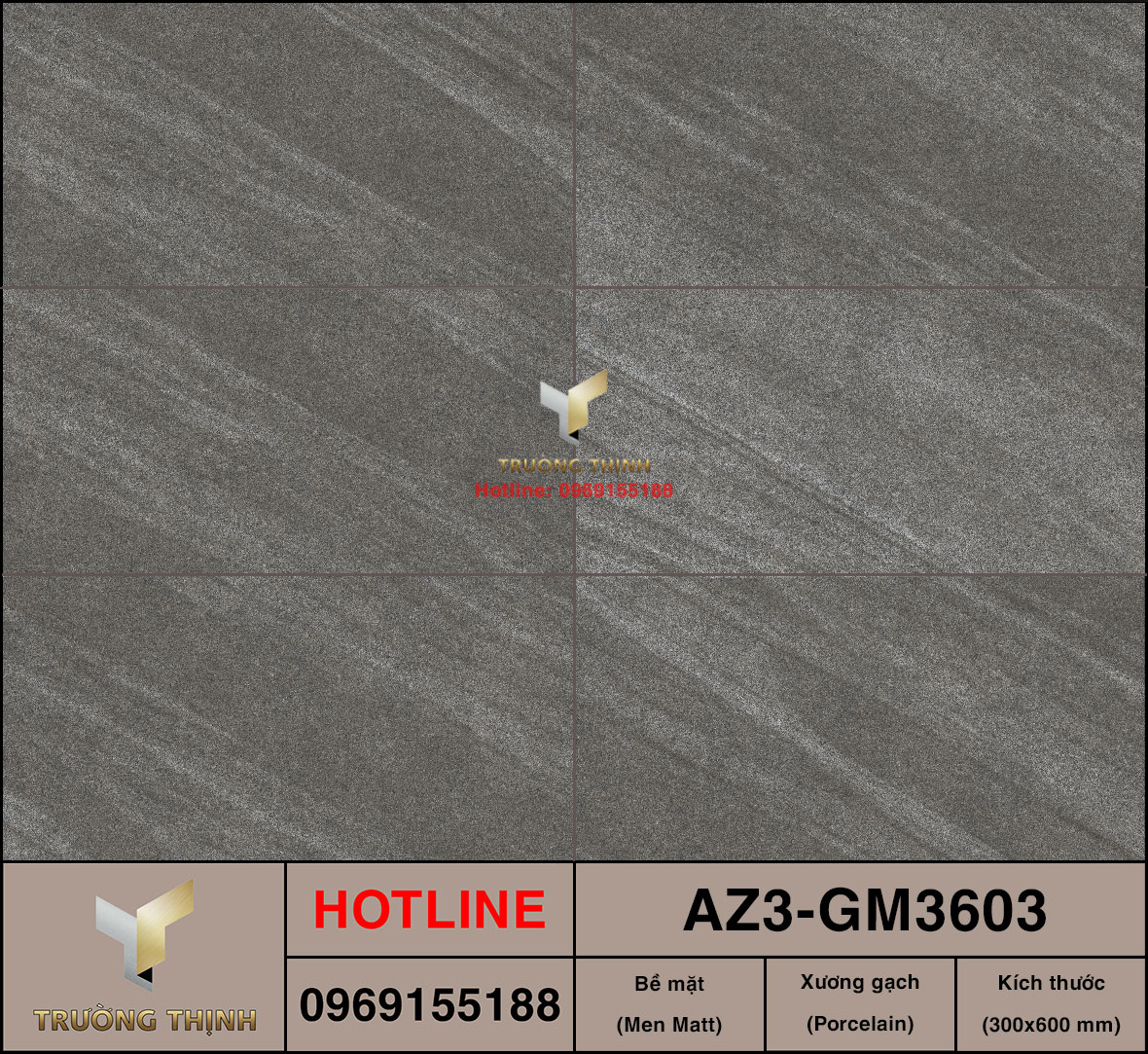 Gạch ốp lát 300x600 Viglacera United Arizona AZ3-GM3603