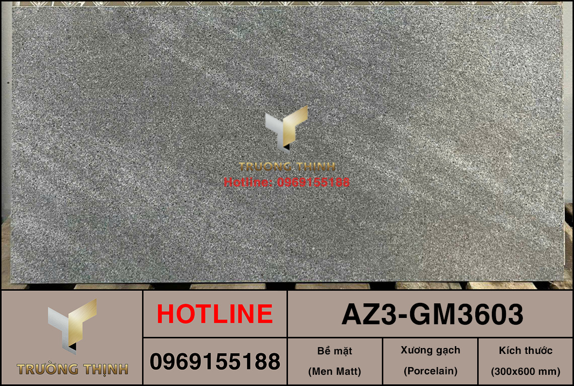 Gạch ốp lát 300x600 Viglacera United Arizona AZ3-GM3603