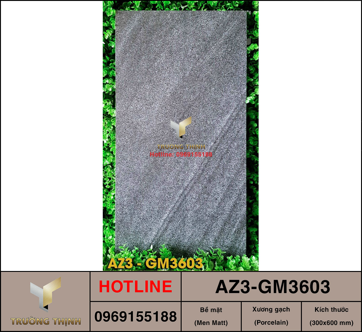 Gạch ốp lát 300x600 Viglacera United Arizona AZ3-GM3603