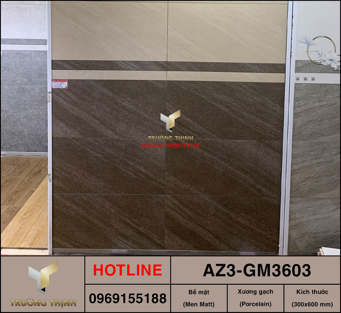 Gạch ốp lát 300x600 Viglacera United Arizona AZ3-GM3603