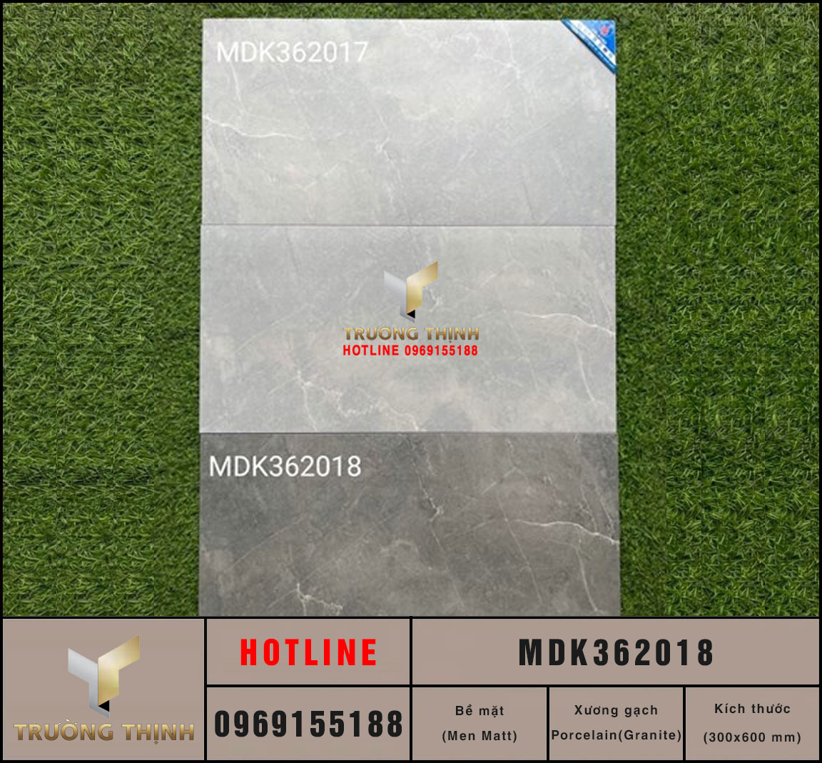 Gạch ốp lát vân đá màu kem 300x600 Viglacera MDK362015 – Đẳng cấp cho không gian hiện đại