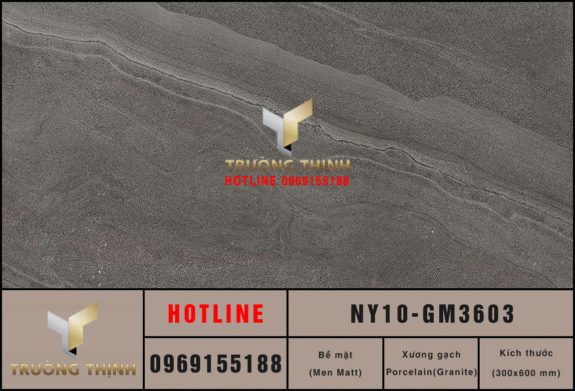 Gạch ốp lát granite vân đá màu xám 300x600 Viglacera NY10-GM3603
