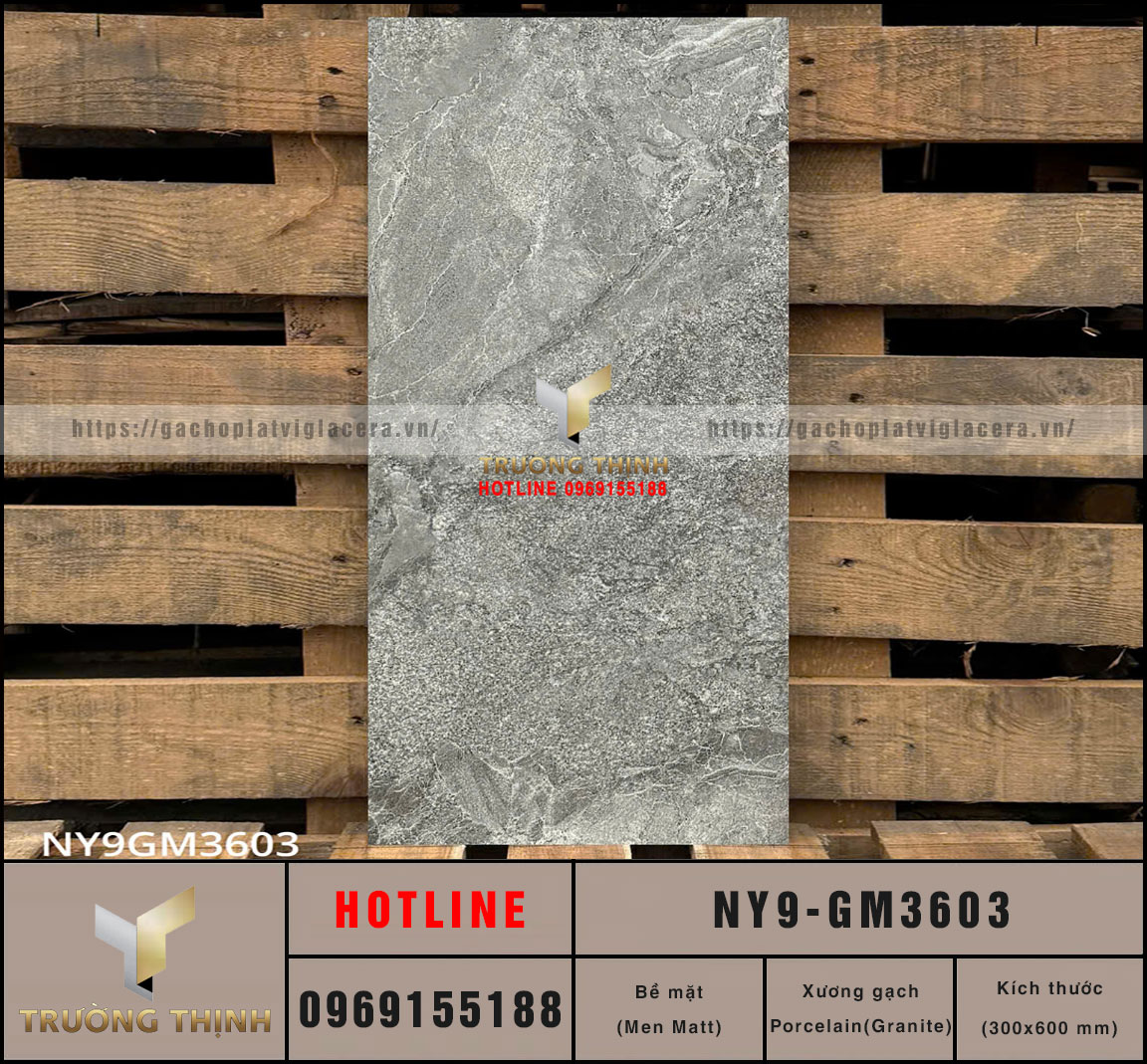 Gạch Viglacera NY9-GM3603: Granite Vân Đá Xám 300x600 Đẳng Cấp