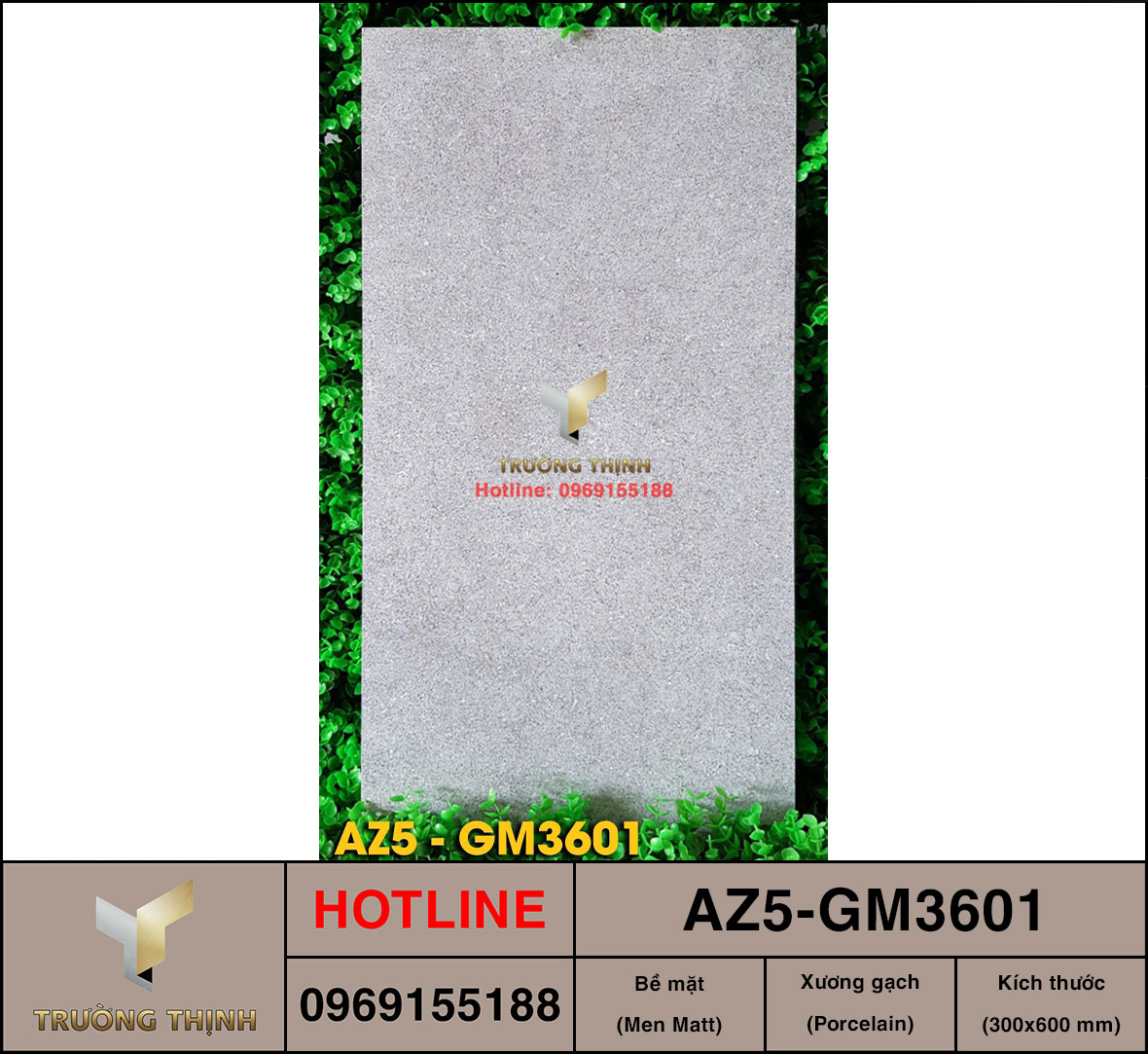Gạch ốp lát 300x600 Viglacera United Arizona AZ5-GM3601