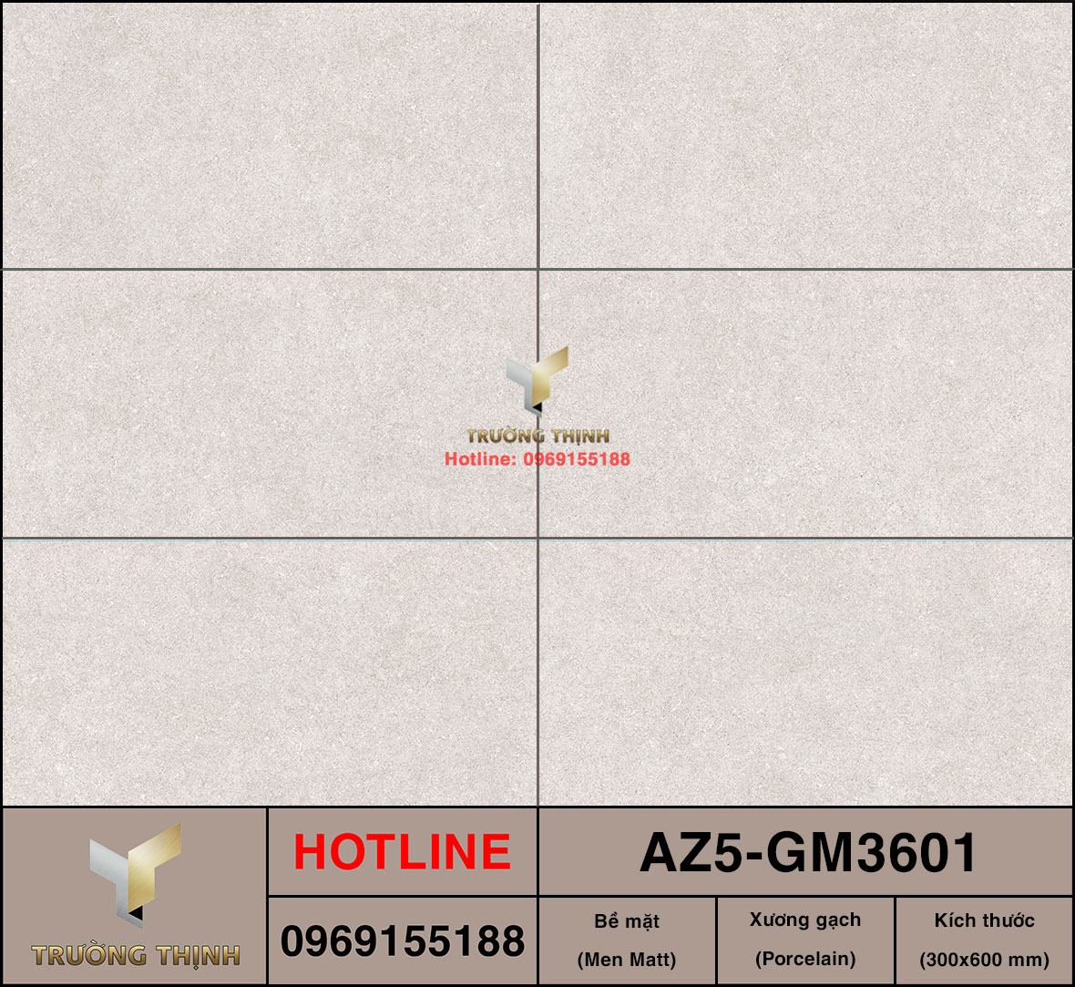 Gạch ốp lát 300x600 Viglacera United Arizona AZ5-GM3601