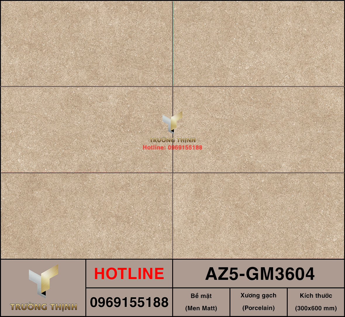 Gạch ốp lát 300x600 Viglacera United Arizona AZ5-GM3604