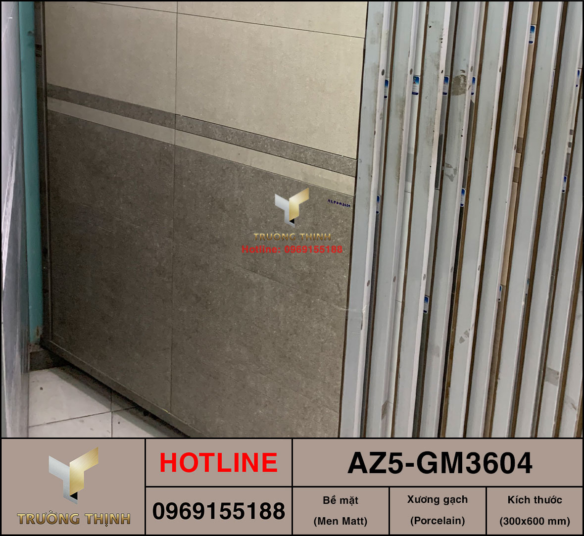 Gạch ốp lát 300x600 Viglacera United Arizona AZ5-GM3604