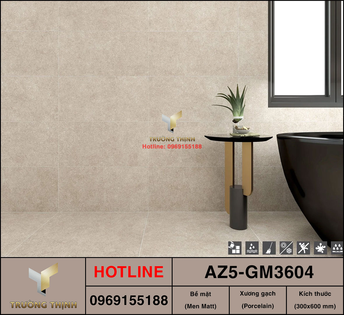 Gạch ốp lát men Matt 300x600 Viglacera AZ5-GM3604