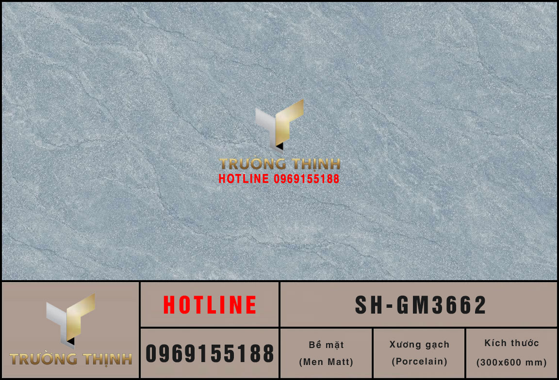 Gạch ốp lát 300x600 Viglacera Sông Hồng SH-GM3662