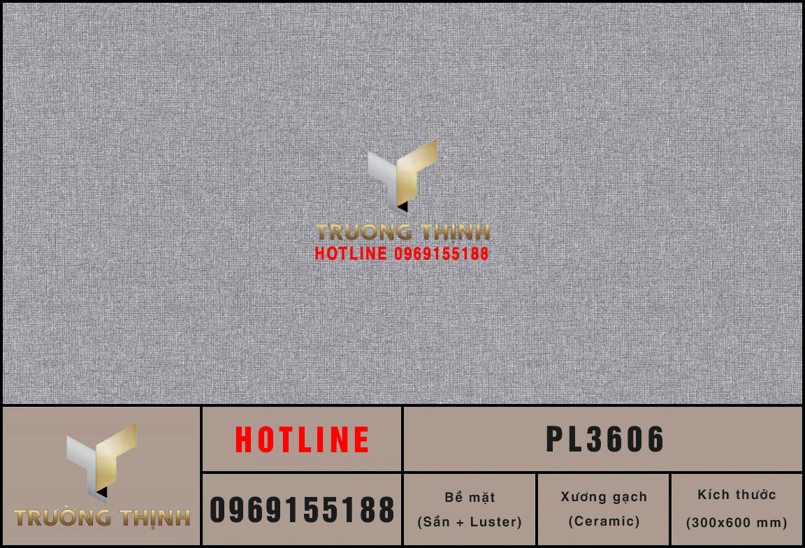 PL3606