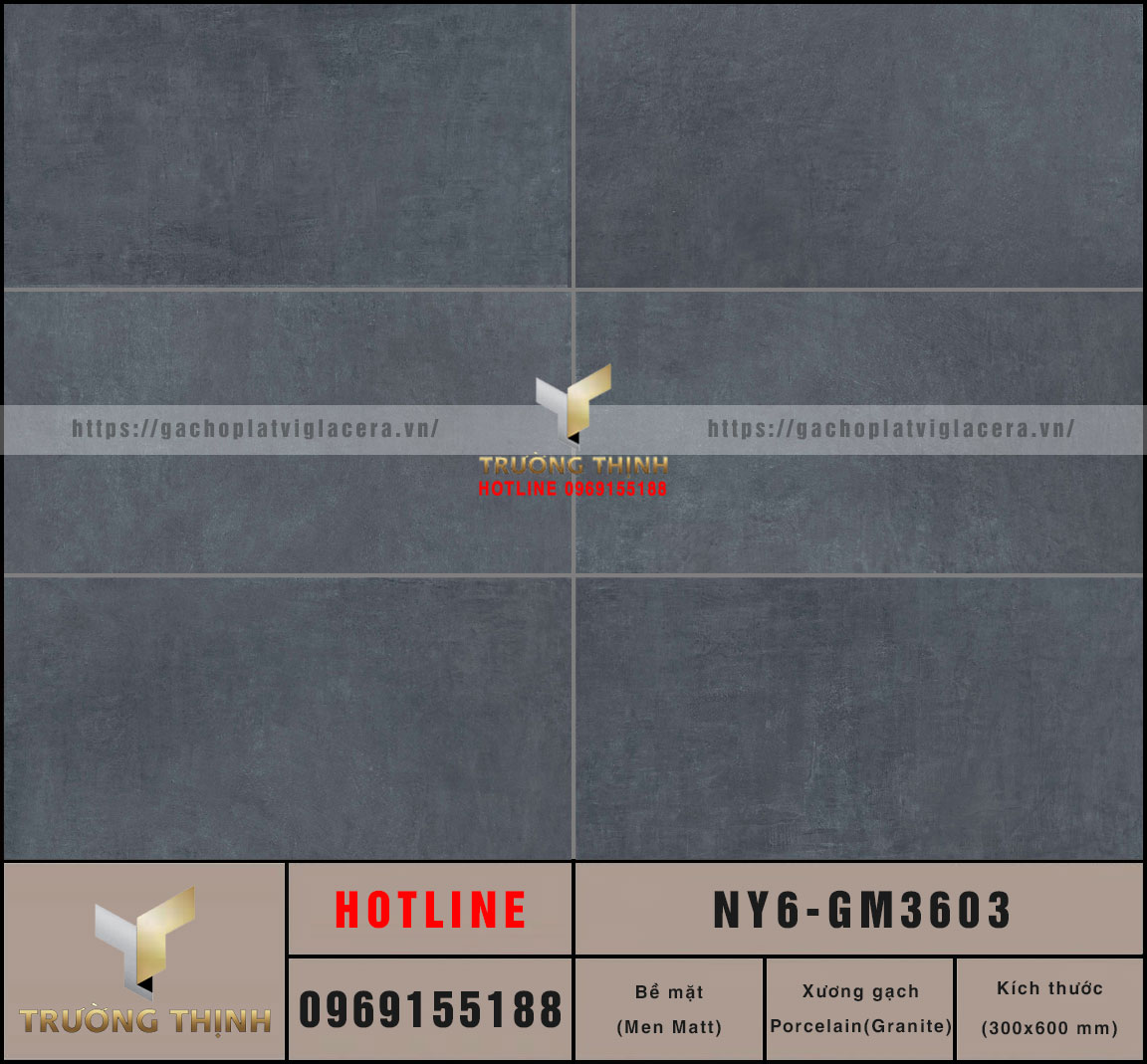 Gạch ốp lát men Matt vân xi măng 300x600 Viglacera NY6-GM3603