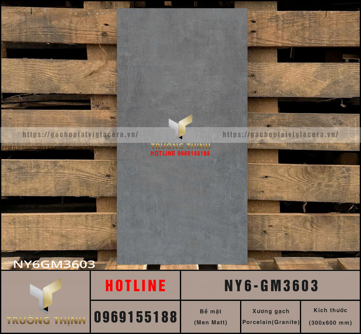 Gạch ốp lát men Matt vân xi măng 300x600 Viglacera NY6-GM3603