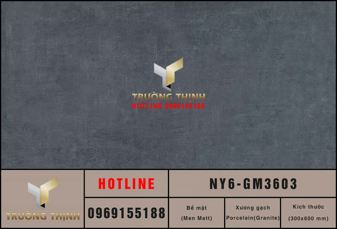 Gạch ốp lát men Matt vân xi măng 300x600 Viglacera NY6-GM3603