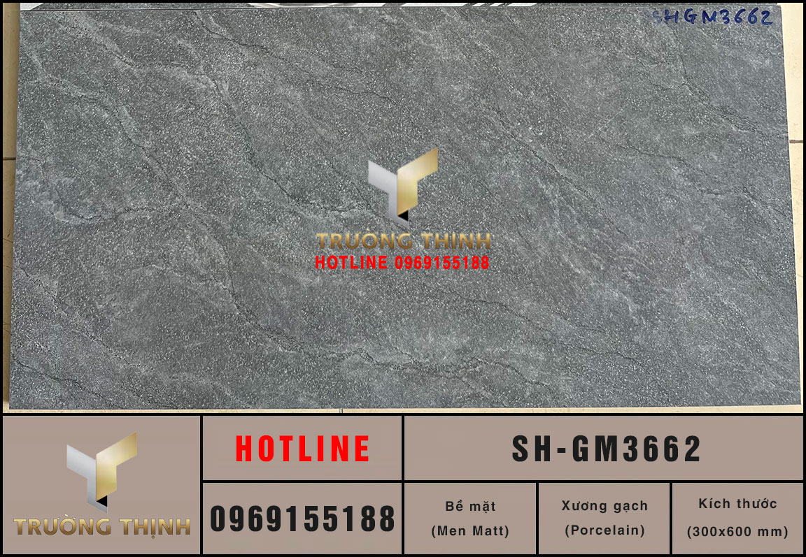 Gạch ốp tường 300x600 Viglacera Sông Hồng SH-GM3662