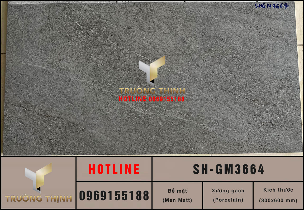 Gạch ốp tường 300x600 Viglacera Sông Hồng SH-GM3664