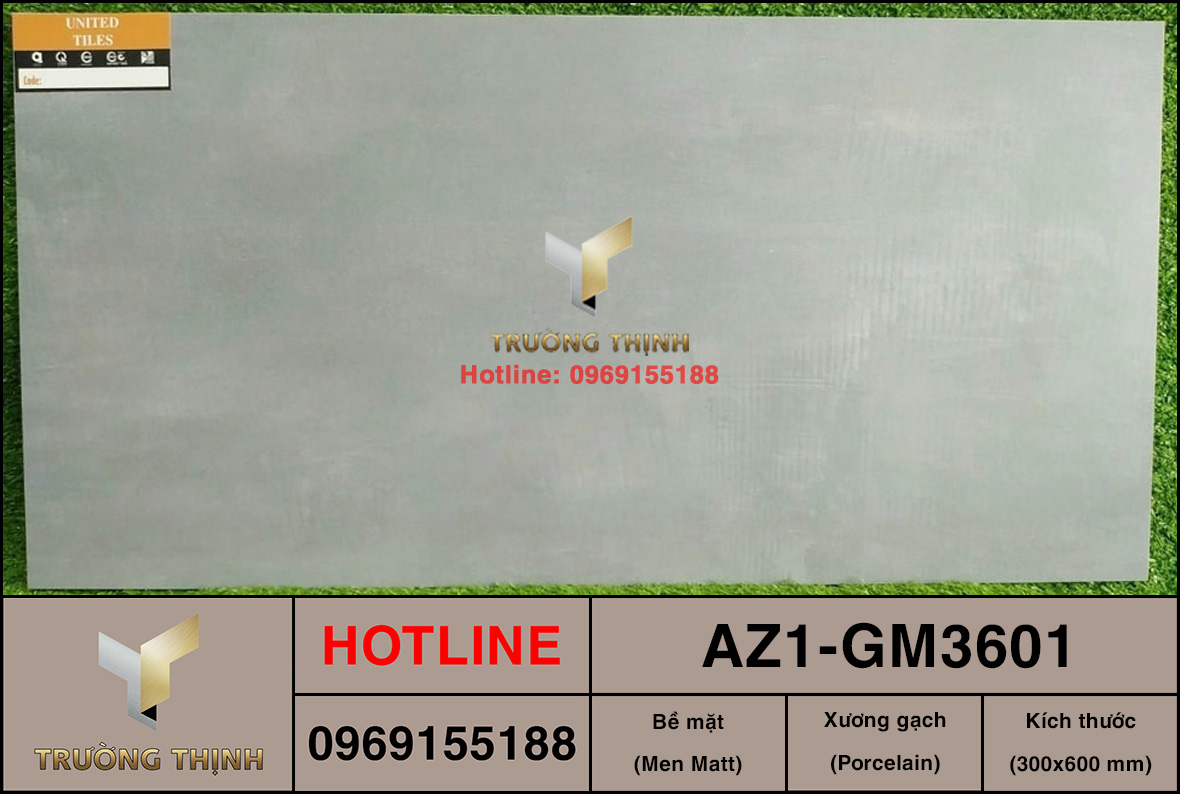 Gạch ốp lát 300x600 Viglacera United Arizona AZ1-GM3601