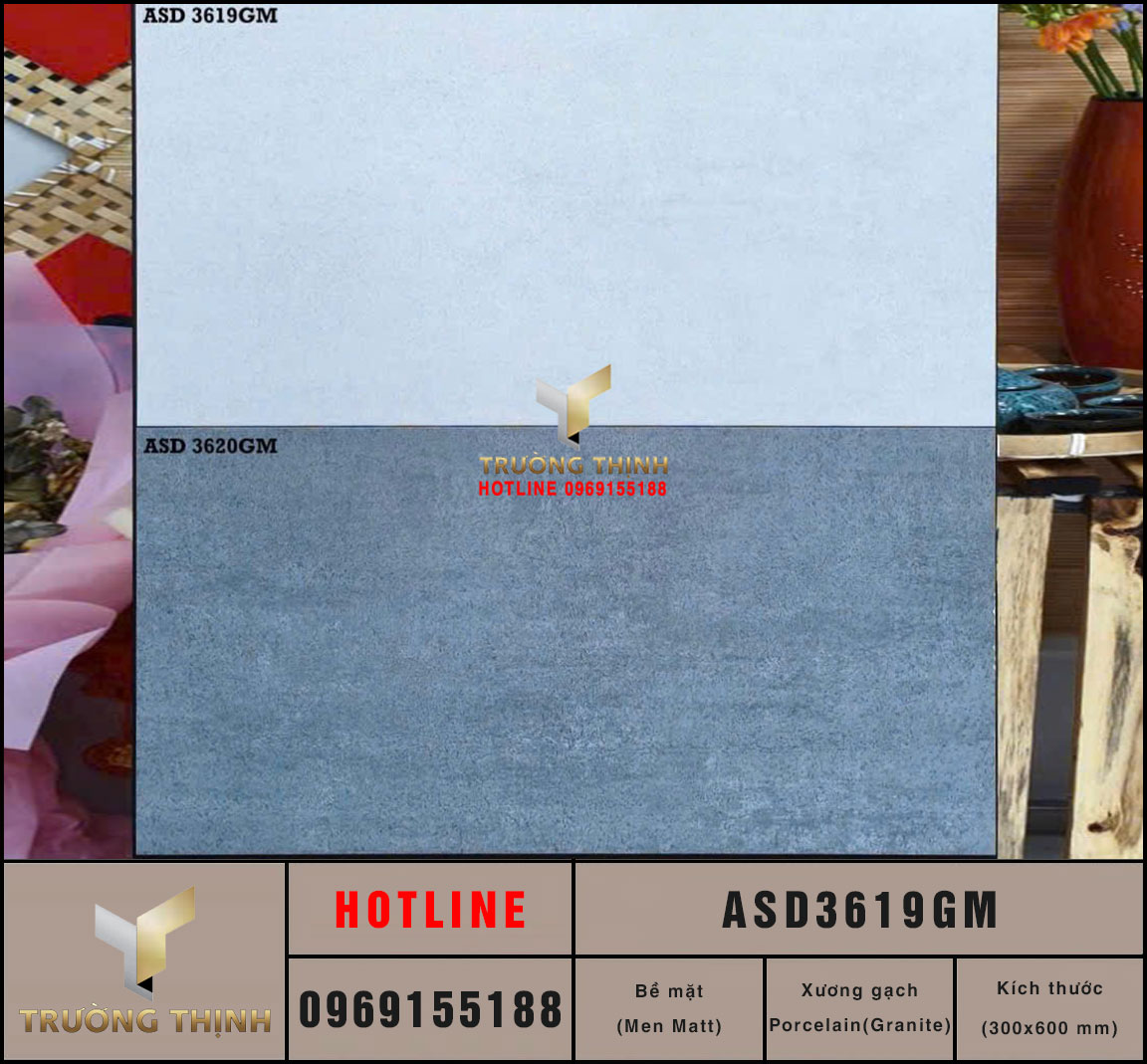 Gạch ốp lát vân xi măng màu ghi 300x600 Viglacera ASD3619GM: Đẳng cấp tối giản cho không gian hiện đại