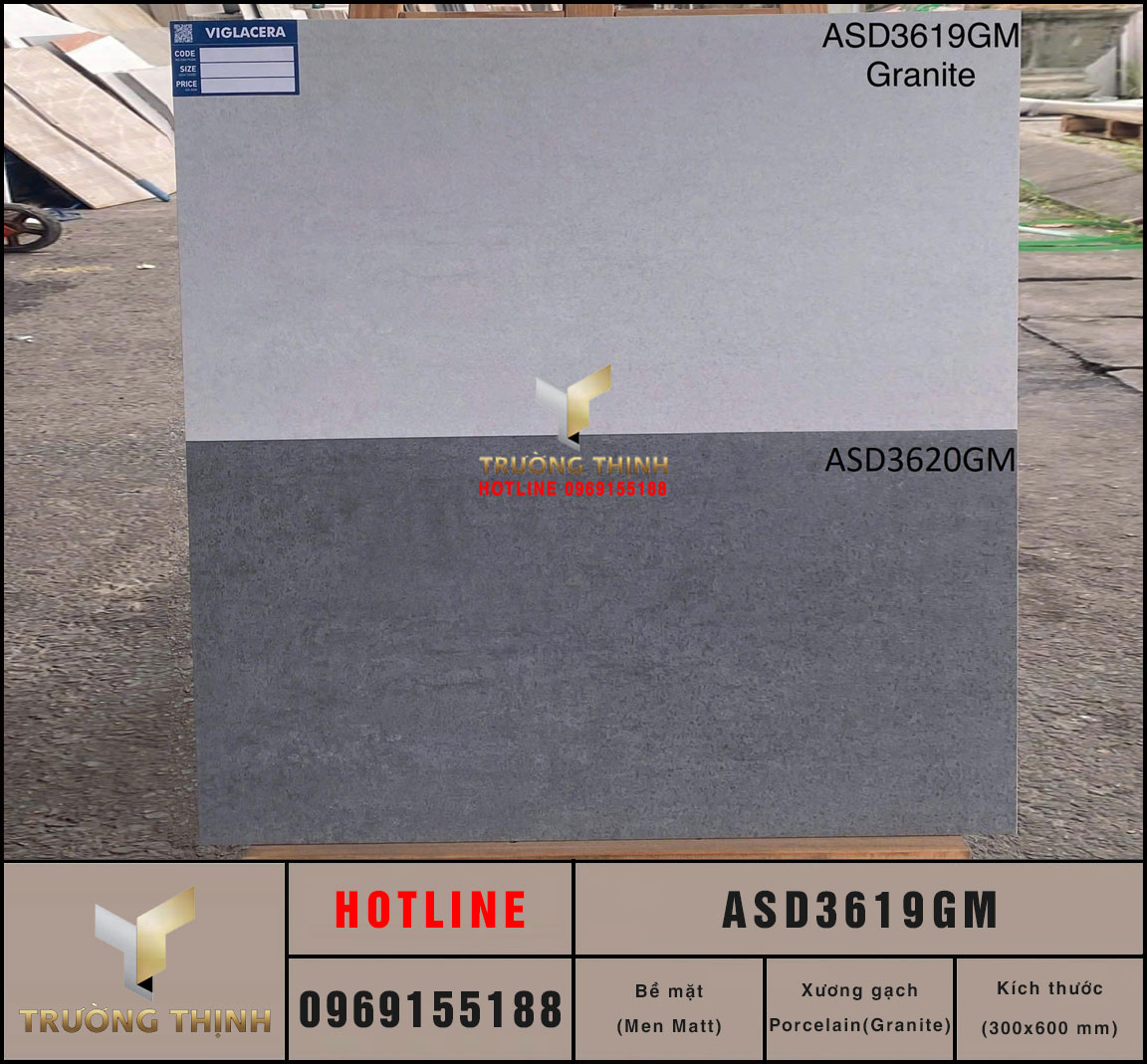 Gạch ốp lát vân xi măng màu ghi 300x600 Viglacera ASD3619GM: Đẳng cấp tối giản cho không gian hiện đại