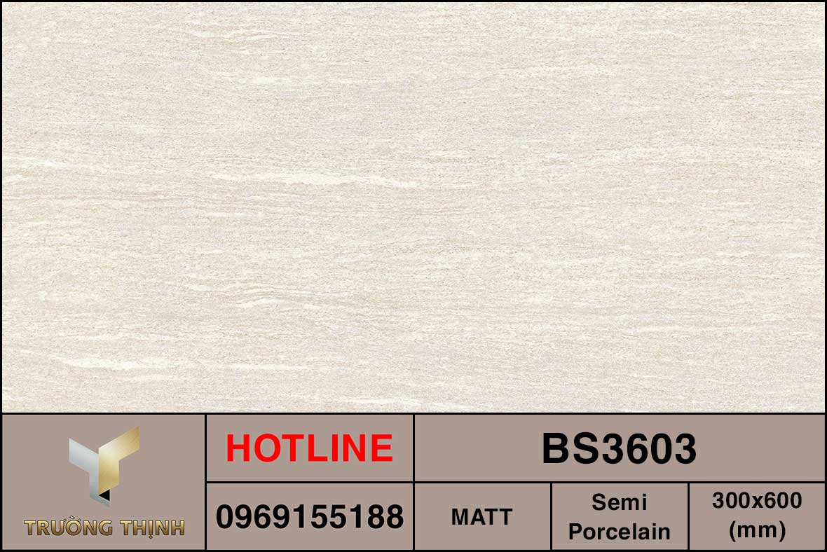 Ảnh MAP gạch ốp lát 300x600 Viglacera BS3603
