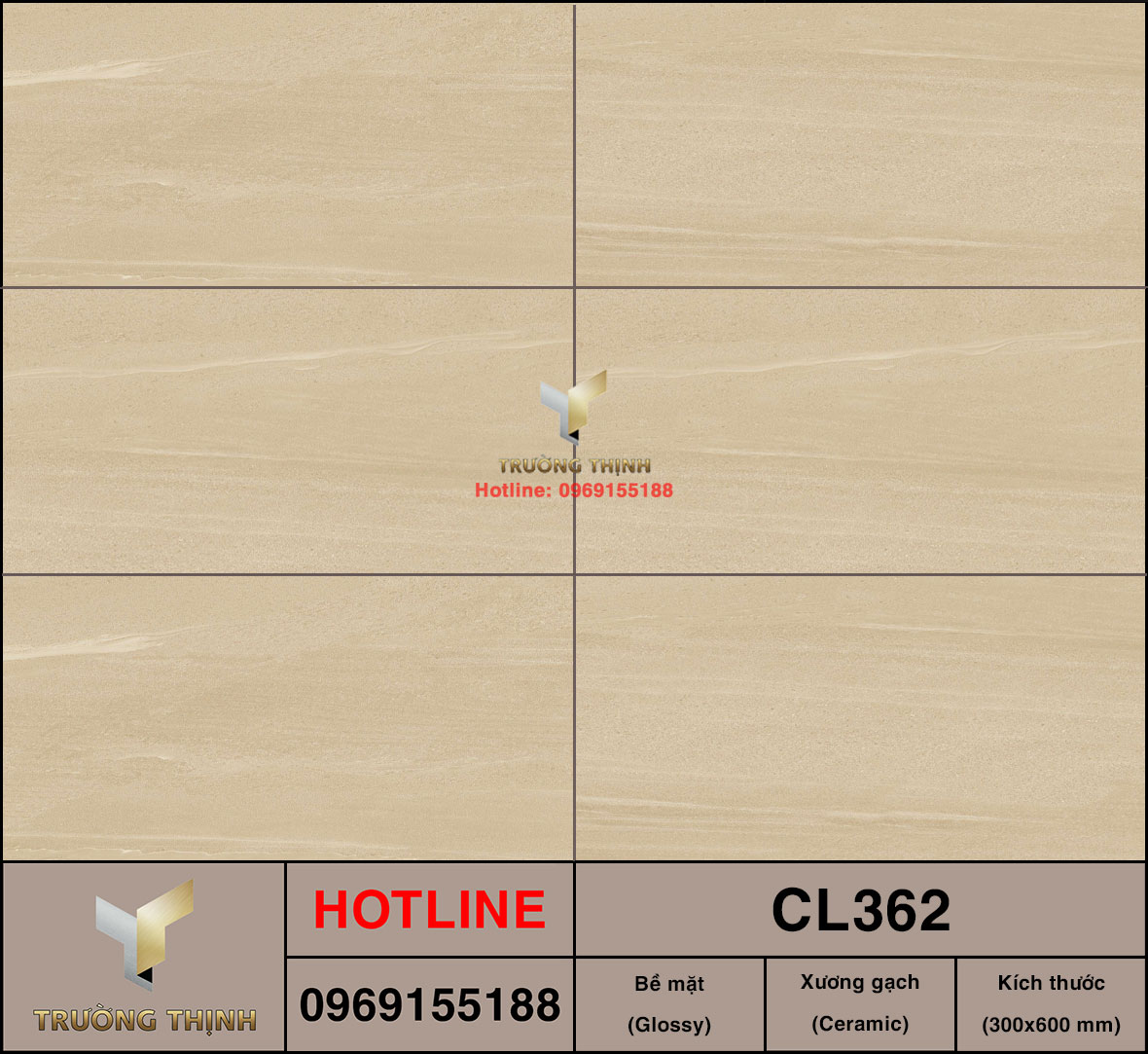 Gạch ốp lát 300x600 Viglacera Cửu Long CL362