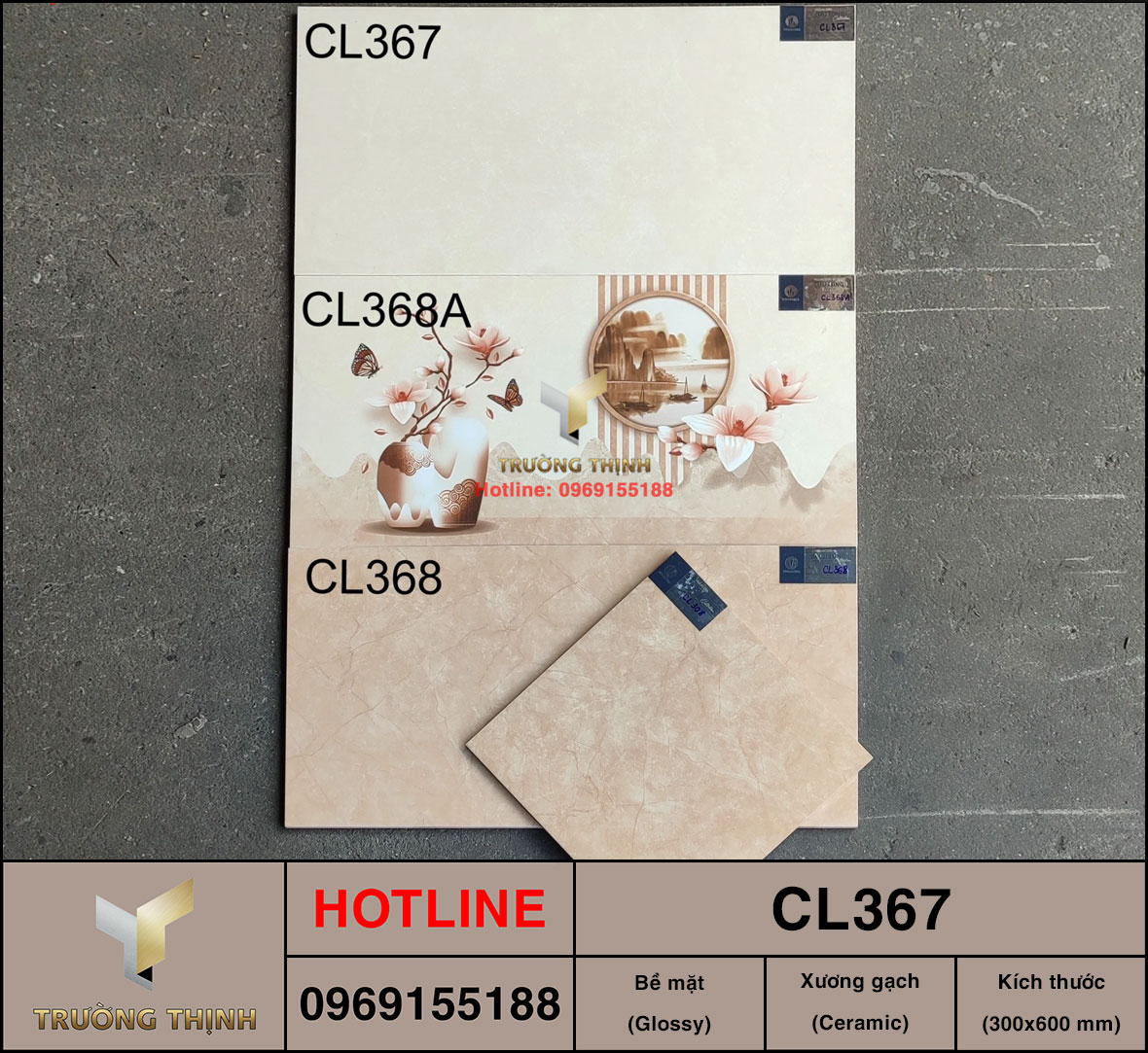 Gạch 300x600 Viglacera Cửu Long CL367