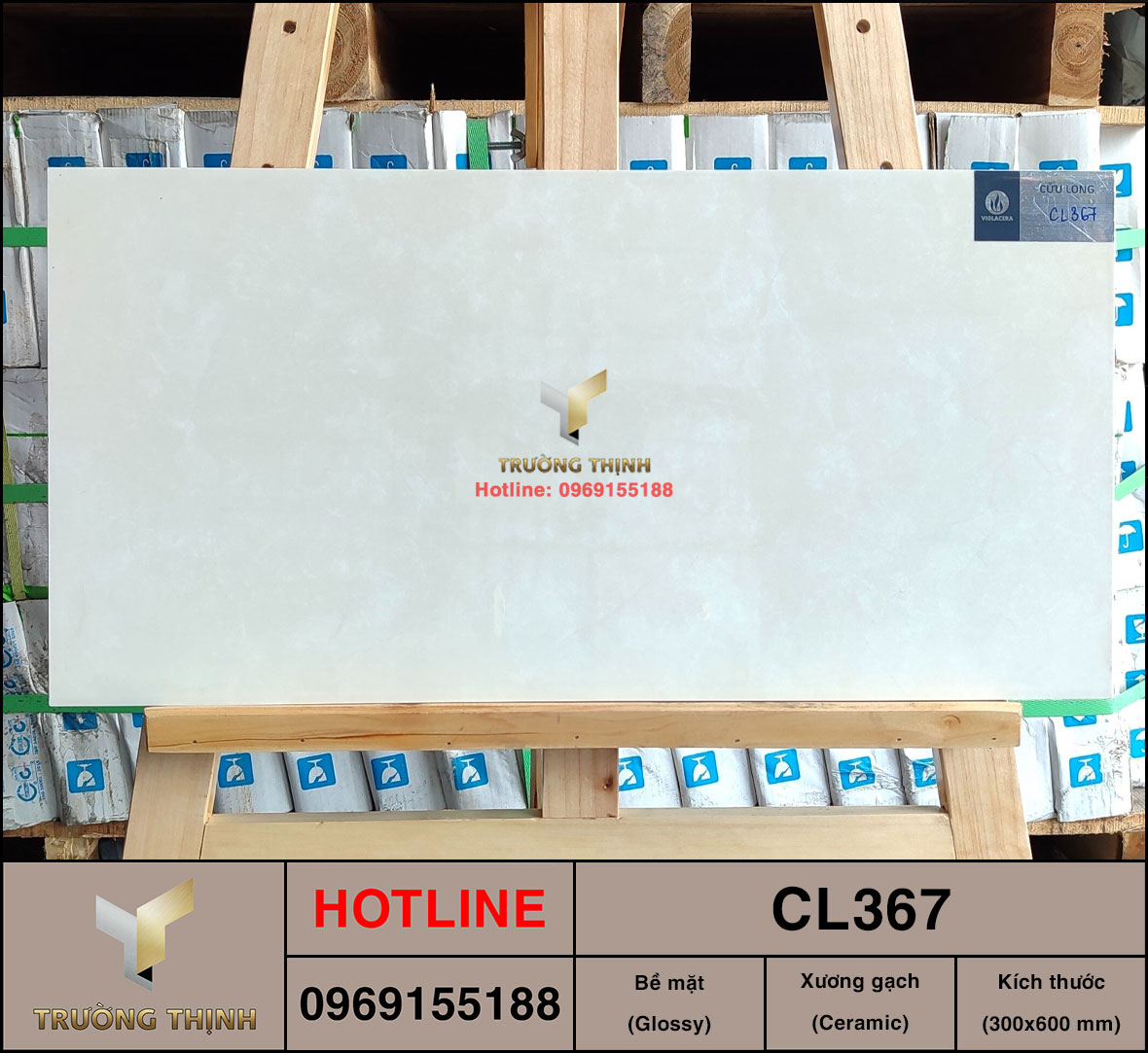 Gạch ốp lát 300x600 Viglacera Cửu Long CL367