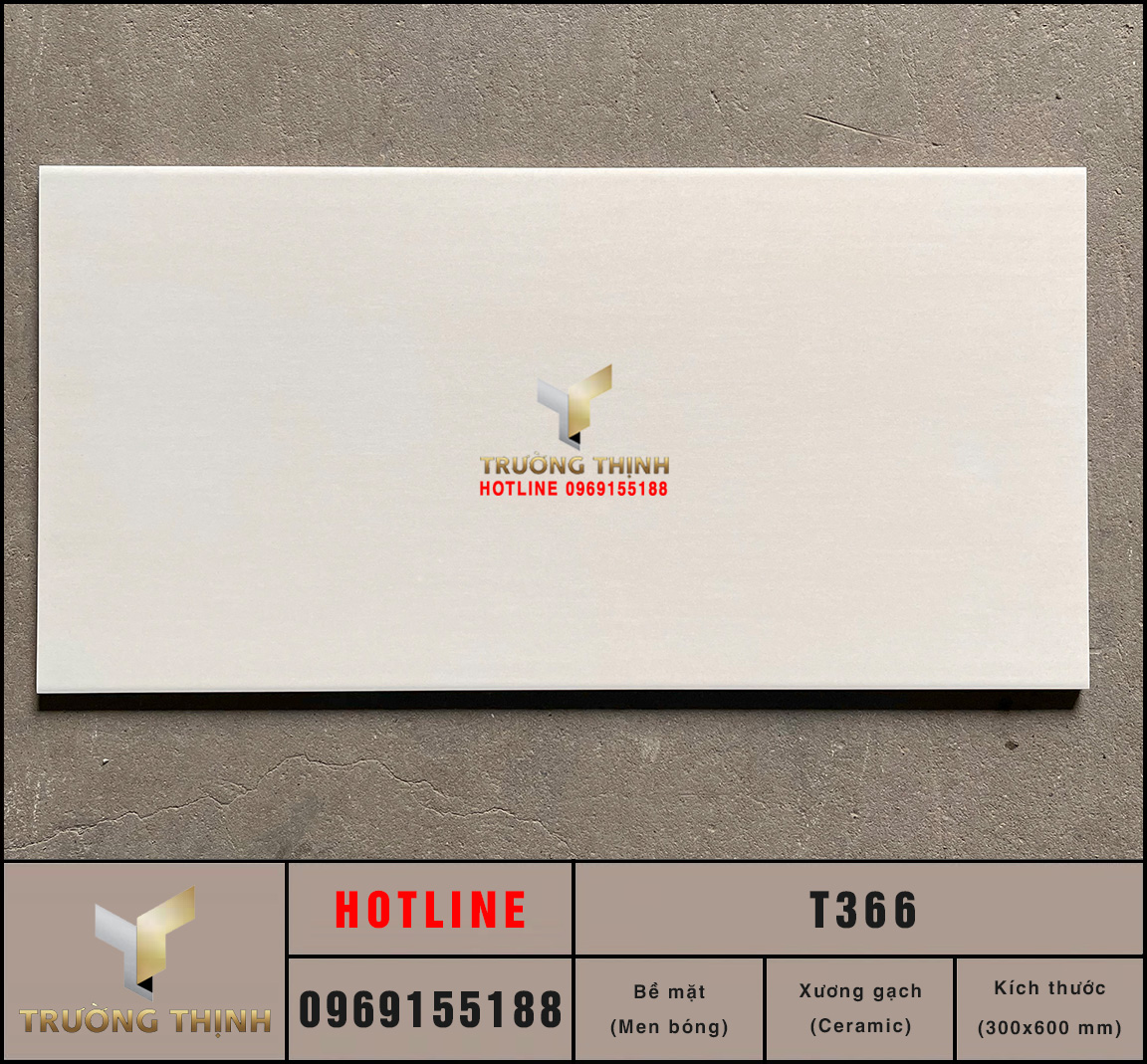  Gạch Ốp Tường Ceramic Ghi Sáng 300x600 Viglacera T366 - Vẻ Đẹp Hiện Đại, Sang Trọng Cho Mọi Công Trình