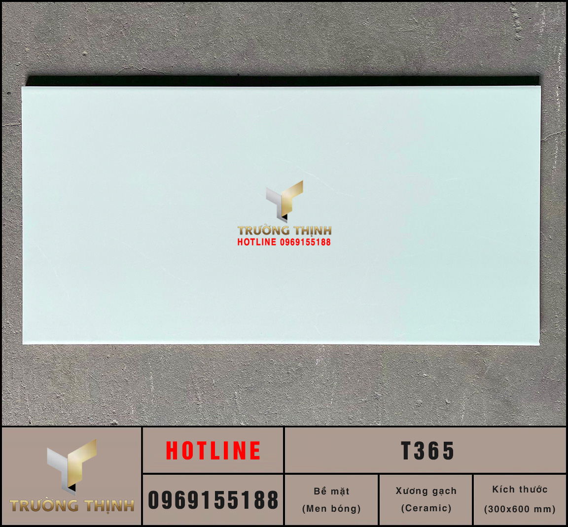 Gạch Ốp Tường Ceramic Xanh Nhạt 300x600 Viglacera T365 - Mở Rộng Không Gian, Sáng Bừng Nét Tinh Tế