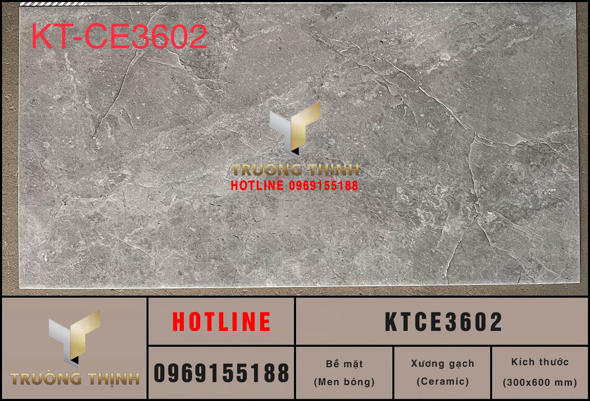 Gạch ốp tường ceramic màu xám 300x600 Viglacera KTCE3602 giá rẻ