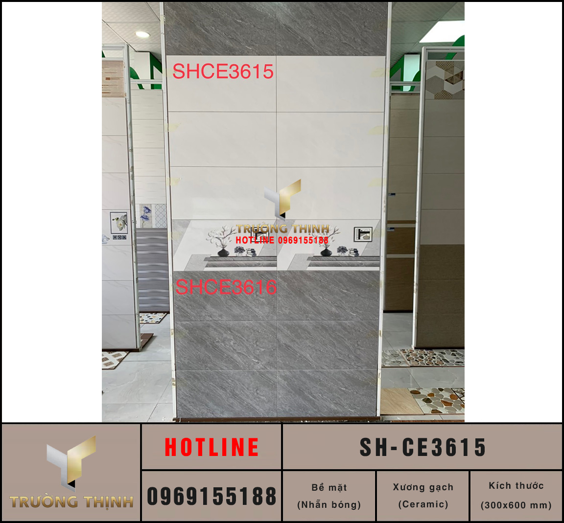Gạch ốp tường 300x600 Viglacera Sông Hồng SH-CE3615