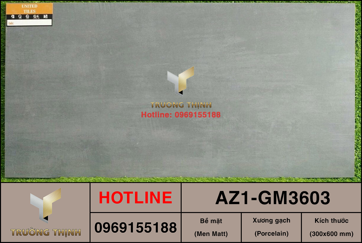 Gạch ốp lát 300x600 Viglacera United Arizona AZ1-GM3603