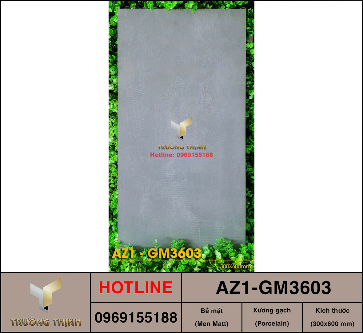 Gạch ốp lát 300x600 Viglacera United Arizona AZ1-GM3603