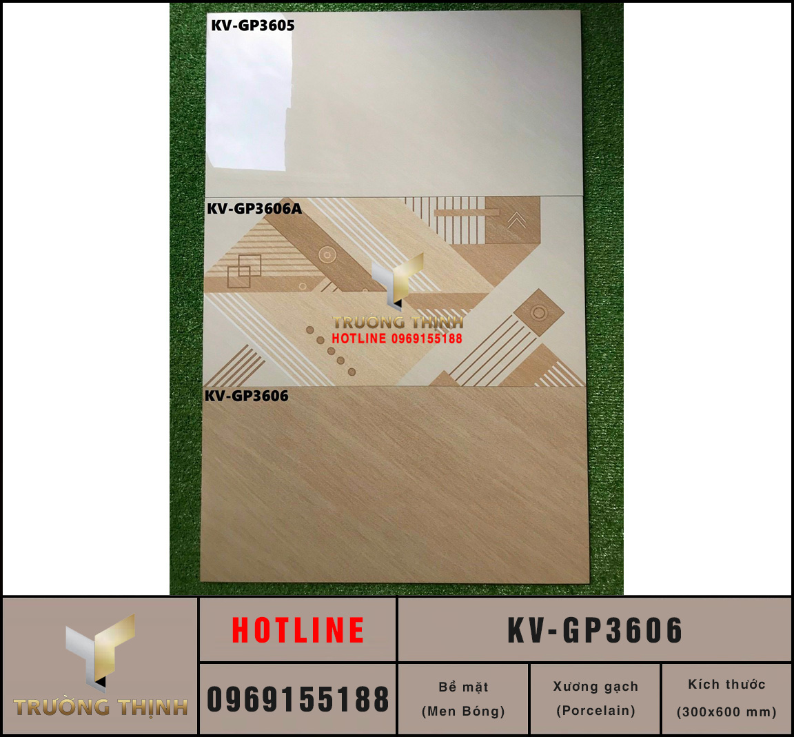 Gạch 300x600 Viglacera KV-GP3606