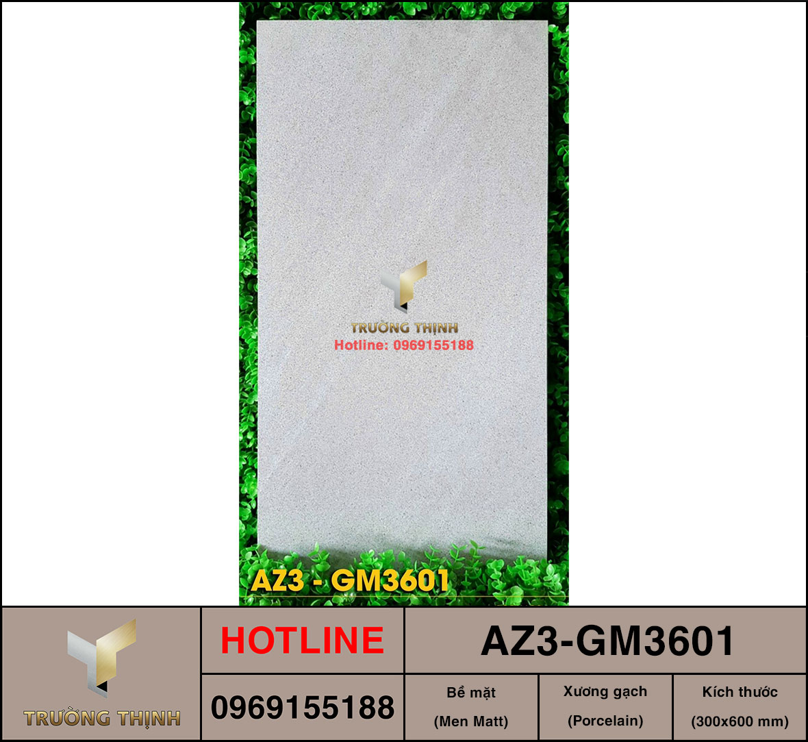 Gạch ốp lát 300x600 Viglacera United Arizona AZ3-GM3601