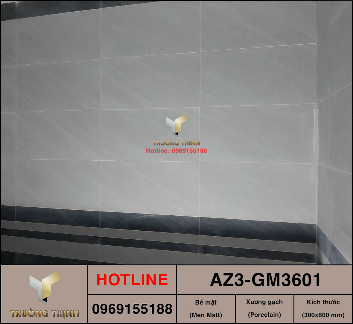 Gạch ốp lát 300x600 Viglacera United Arizona AZ3-GM3601