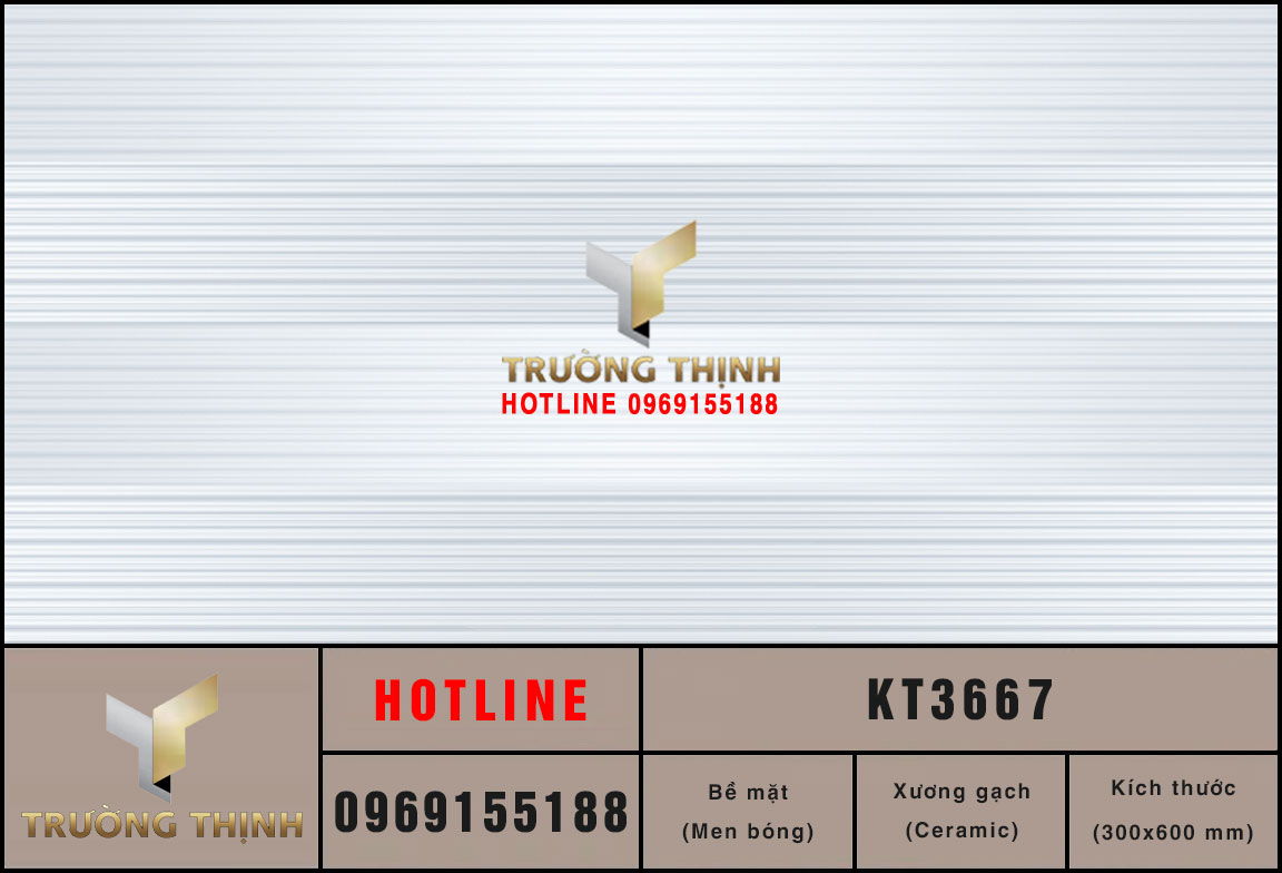 KT3667