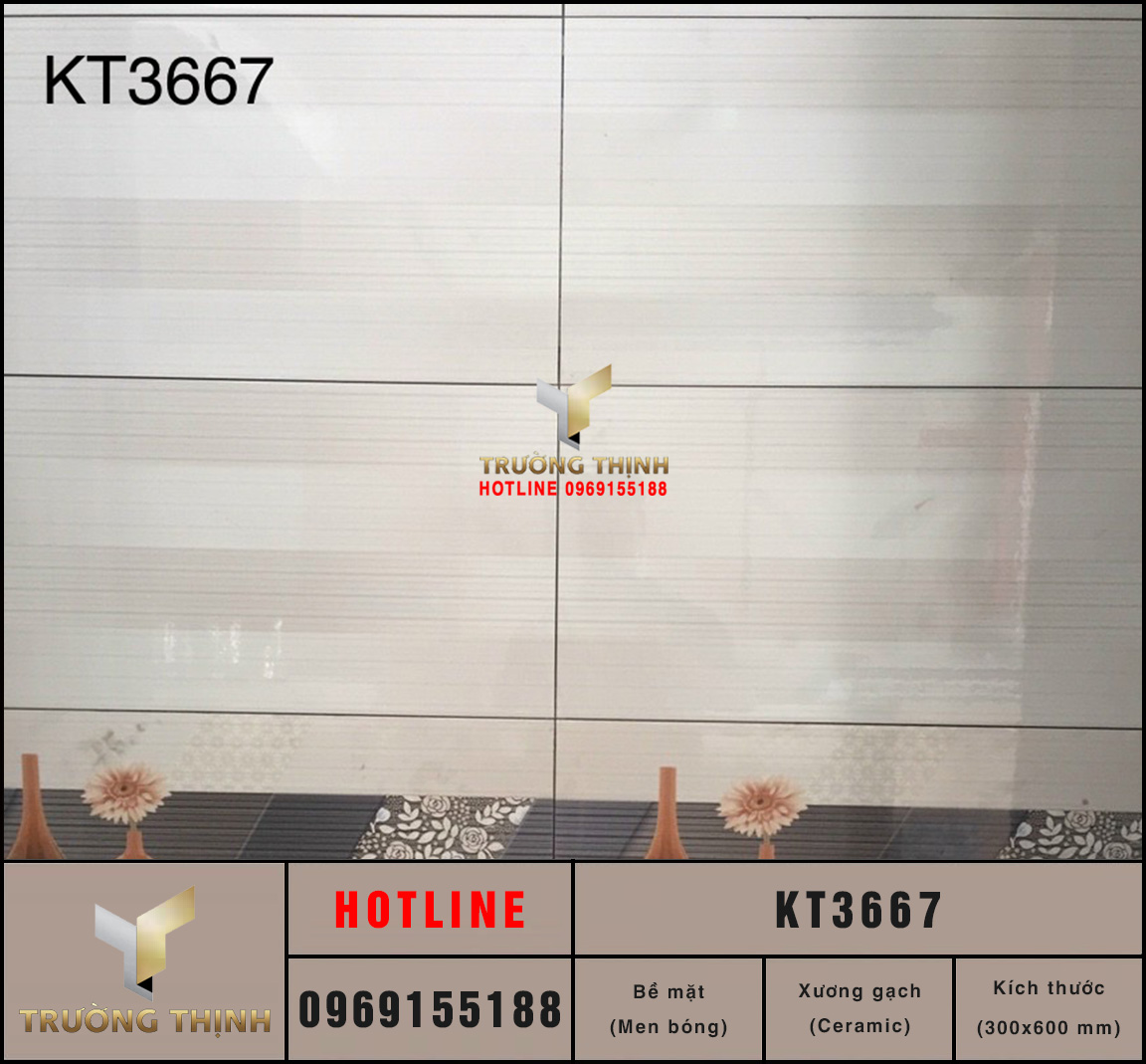 Gạch ốp tường men bóng 300x600 Viglacera KT3667