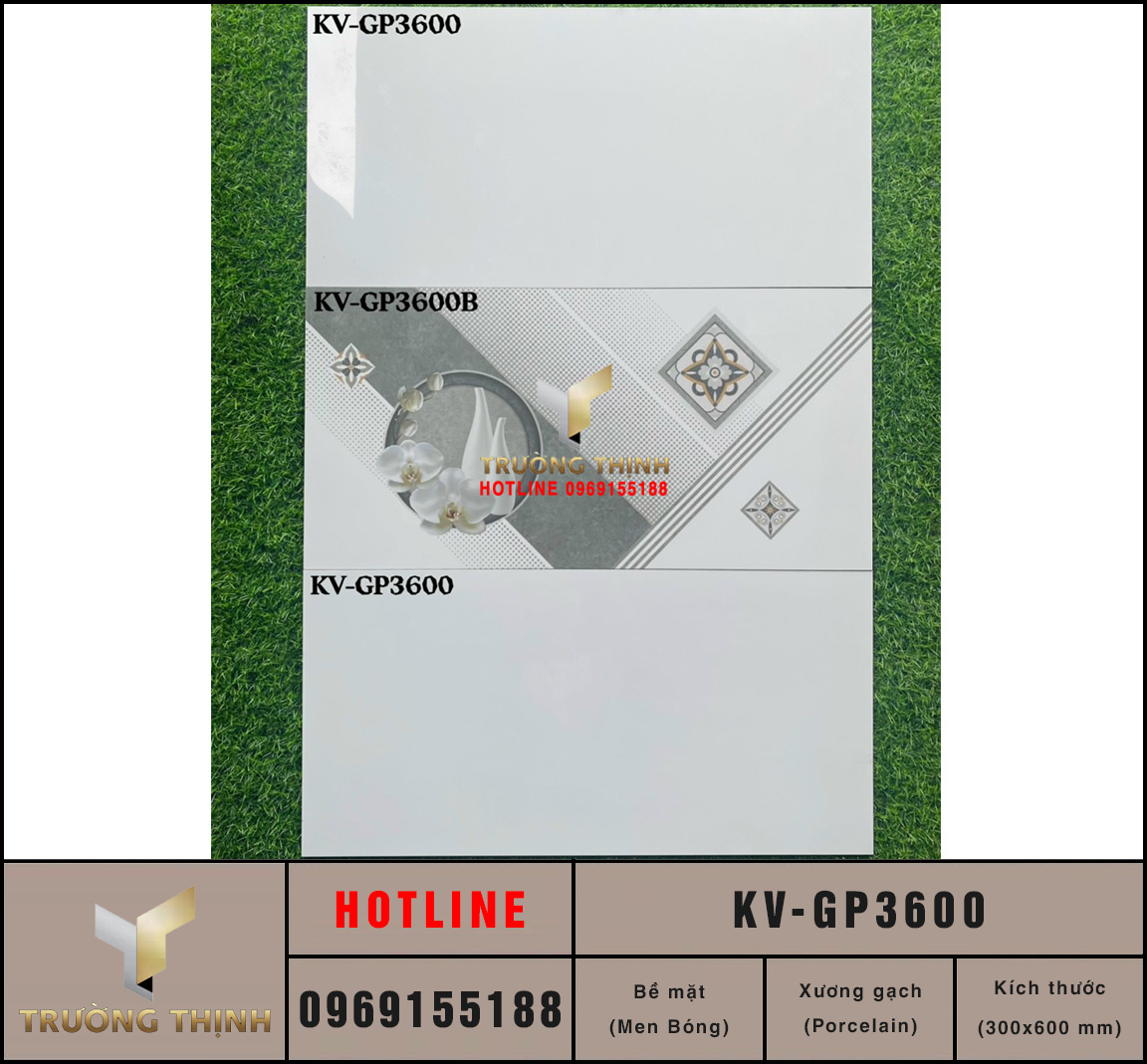 Gạch ốp tường trắng trơn 300x600 Viglacera KV-GP3600 cao cấp